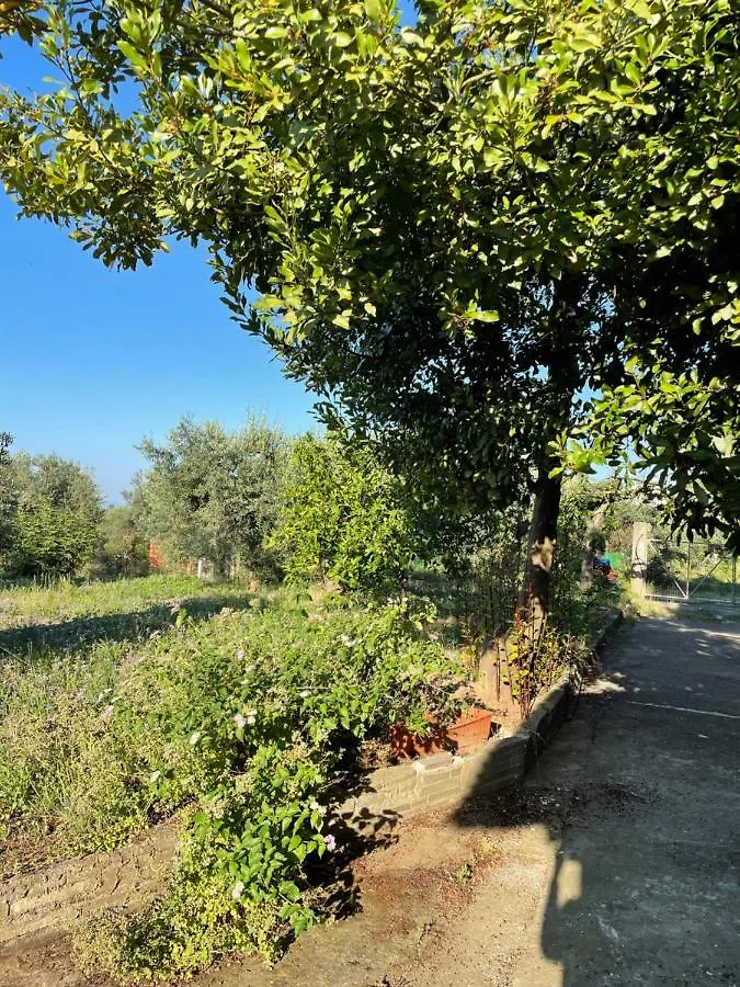 Garden Nest In Vourvourou Apartment